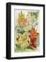 Summer Flowering Bulbs &Lilies-null-Framed Art Print