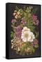 Summer Flowers 1880-null-Framed Stretched Canvas