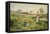 Summer Flowers. 1903-Alfred Glendening-Framed Stretched Canvas