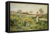 Summer Flowers, 1903-Alfred Augustus Glendening-Framed Stretched Canvas