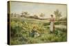 Summer Flowers, 1903-Alfred Augustus Glendening-Stretched Canvas
