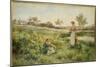 Summer Flowers, 1903-Alfred Augustus Glendening-Mounted Giclee Print