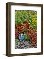 Summer flowers and coleus plants in bronze and reds, Sammamish, Washington State-Darrell Gulin-Framed Photographic Print