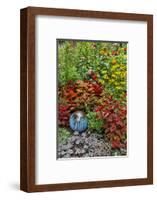 Summer flowers and coleus plants in bronze and reds, Sammamish, Washington State-Darrell Gulin-Framed Photographic Print