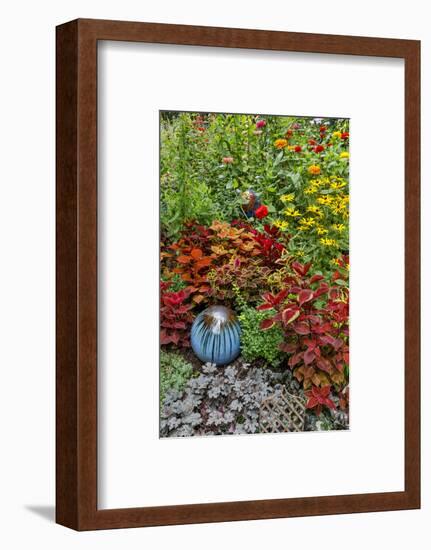 Summer flowers and coleus plants in bronze and reds, Sammamish, Washington State-Darrell Gulin-Framed Photographic Print