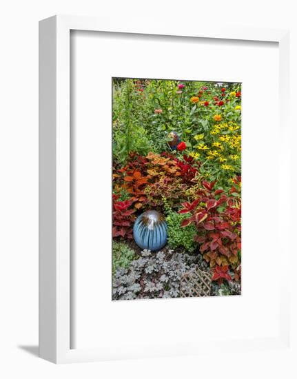 Summer flowers and coleus plants in bronze and reds, Sammamish, Washington State-Darrell Gulin-Framed Photographic Print