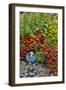 Summer flowers and coleus plants in bronze and reds, Sammamish, Washington State-Darrell Gulin-Framed Photographic Print