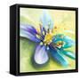 Summer Flowers I-Patricia Pinto-Framed Stretched Canvas
