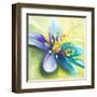 Summer Flowers I-Patricia Pinto-Framed Art Print