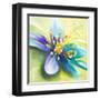 Summer Flowers I-Patricia Pinto-Framed Art Print