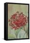 Summer Flowers I-Andrew Michaels-Framed Stretched Canvas