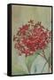 Summer Flowers I-Andrew Michaels-Framed Stretched Canvas