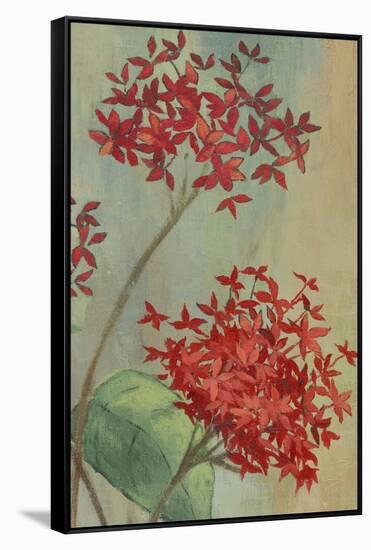 Summer Flowers II-Andrew Michaels-Framed Stretched Canvas