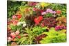 Summer flowers in a garden near Victoria, British Columbia-Stuart Westmorland-Stretched Canvas