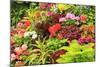 Summer flowers in a garden near Victoria, British Columbia-Stuart Westmorland-Mounted Photographic Print