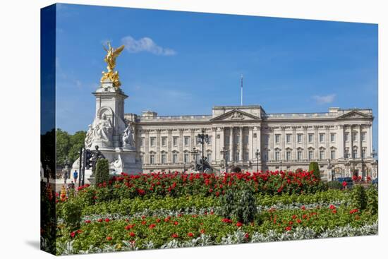 Summer flowers in front of Buckingham Palace in London, United Kingdom.-Michele Niles-Stretched Canvas
