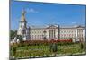 Summer flowers in front of Buckingham Palace in London, United Kingdom.-Michele Niles-Mounted Photographic Print