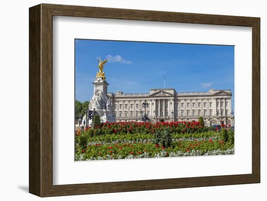 Summer flowers in front of Buckingham Palace in London, United Kingdom.-Michele Niles-Framed Photographic Print