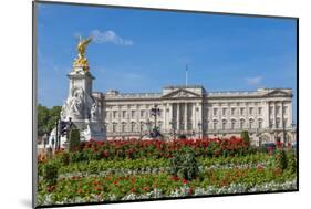 Summer flowers in front of Buckingham Palace in London, United Kingdom.-Michele Niles-Mounted Photographic Print