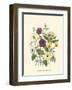 Summer Flowers IV-null-Framed Art Print