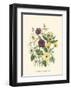 Summer Flowers IV-null-Framed Art Print