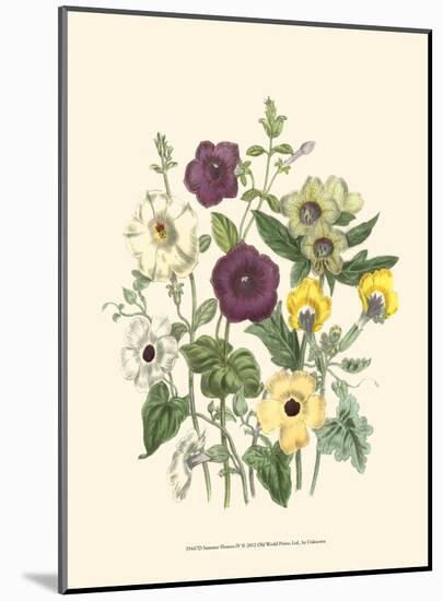 Summer Flowers IV-null-Mounted Art Print