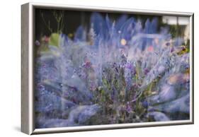 Summer flowers meadows in Bielefeld on the roadsides, double exposure.-Nadja Jacke-Framed Photographic Print