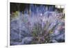 Summer flowers meadows in Bielefeld on the roadsides, double exposure.-Nadja Jacke-Framed Photographic Print