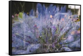 Summer flowers meadows in Bielefeld on the roadsides, double exposure.-Nadja Jacke-Framed Stretched Canvas