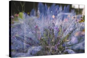 Summer flowers meadows in Bielefeld on the roadsides, double exposure.-Nadja Jacke-Stretched Canvas