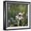 Summer flowers meadows on the roadsides in Bielefeld,-Nadja Jacke-Framed Photographic Print