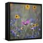 Summer flowers meadows on the roadsides of Bielefeld-Nadja Jacke-Framed Stretched Canvas