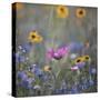 Summer flowers meadows on the roadsides of Bielefeld-Nadja Jacke-Stretched Canvas