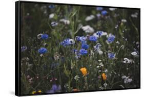 Summer flowers meadows on the roadsides of Bielefeld-Nadja Jacke-Framed Stretched Canvas