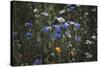 Summer flowers meadows on the roadsides of Bielefeld-Nadja Jacke-Stretched Canvas