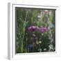 Summer flowers meadows on the roadsides of Bielefeld-Nadja Jacke-Framed Photographic Print