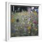 Summer flowers meadows on the roadsides of Bielefeld-Nadja Jacke-Framed Photographic Print