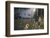 Summer flowers meadows on the roadsides of Bielefeld-Nadja Jacke-Framed Photographic Print