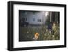 Summer flowers meadows on the roadsides of Bielefeld-Nadja Jacke-Framed Photographic Print