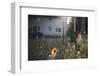 Summer flowers meadows on the roadsides of Bielefeld-Nadja Jacke-Framed Photographic Print