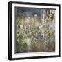 Summer flowers meadows on the roadsides of Bielefeld-Nadja Jacke-Framed Photographic Print