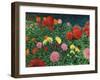 Summer Flowers-Kevin Dodds-Framed Giclee Print