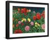 Summer Flowers-Kevin Dodds-Framed Giclee Print