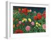 Summer Flowers-Kevin Dodds-Framed Giclee Print