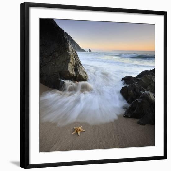 Summer Flux-Paulo Dias-Framed Photographic Print