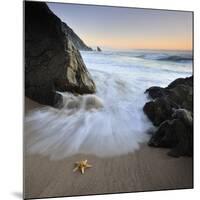 Summer Flux-Paulo Dias-Mounted Photographic Print