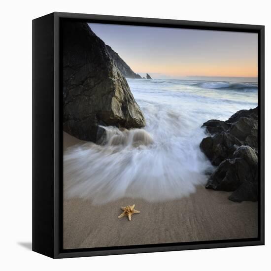 Summer Flux-Paulo Dias-Framed Stretched Canvas