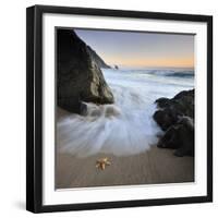 Summer Flux-Paulo Dias-Framed Photographic Print