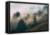 Summer Fog Impressions, Mount Tamalpais, Northern California-Vincent James-Framed Stretched Canvas