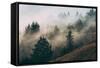Summer Fog Impressions, Mount Tamalpais, Northern California-Vincent James-Framed Stretched Canvas